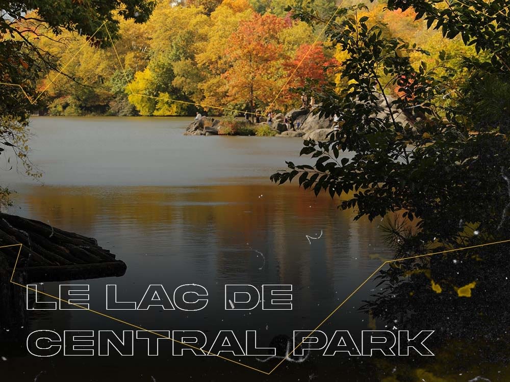 Le Lac de Central Park